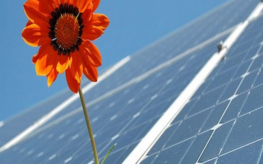 Il fotovoltaico conviene, anche senza incentivi dalle F.E.R.